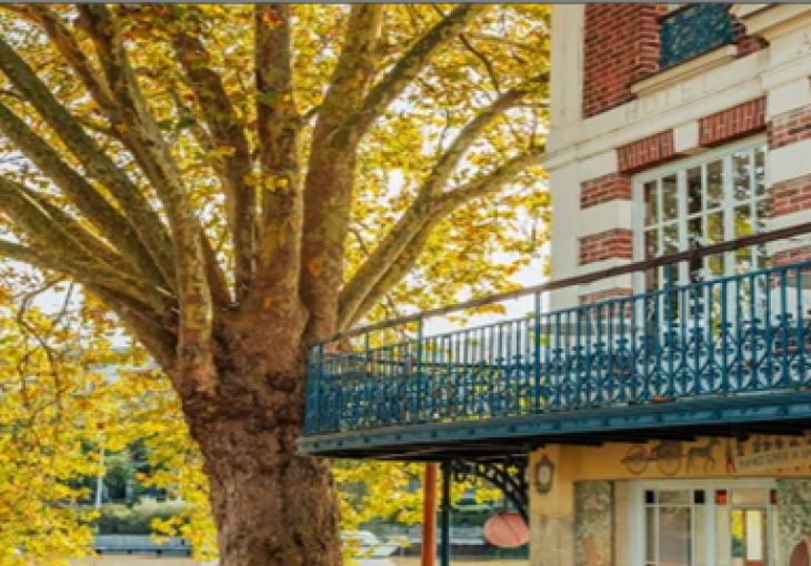 Spring: a Natural Accelerator of the Market